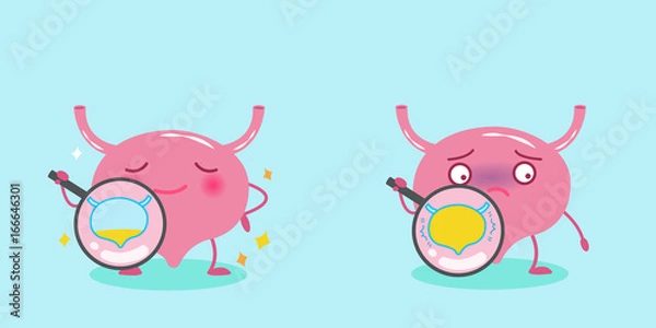 Obraz cute cartoon bladder