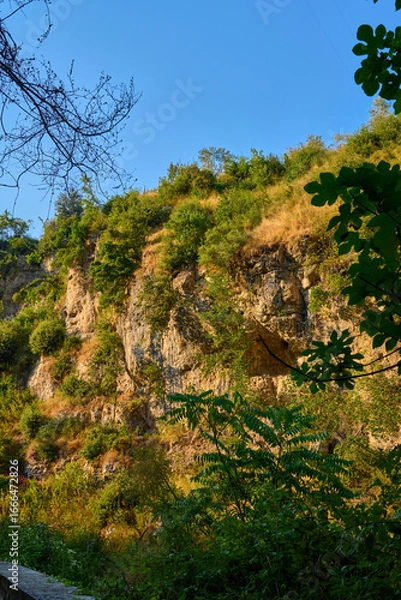 Obraz Hillside Cliffside with Trees, Vegetation, Sunny Blue Sky