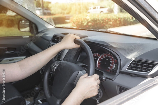 Obraz Hand-drive concept