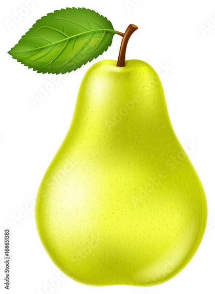 Fototapeta Fresh and ripe yellow green pear with green leaf. Vector illustration.