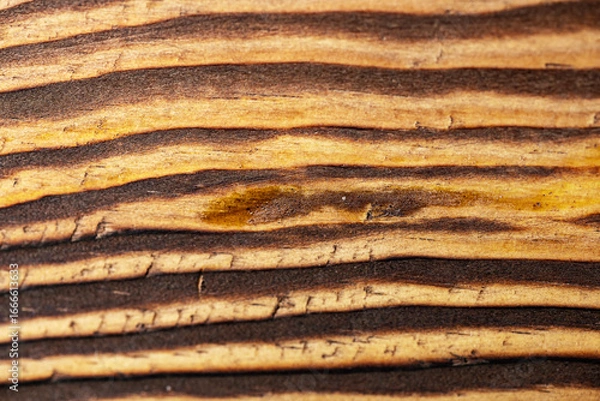 Fototapeta Closeup view of the intricate grain pattern of rustic hardwood surface. Wood texture background