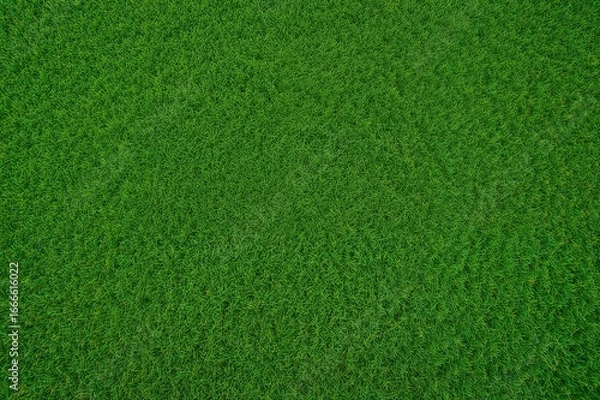 Fototapeta Top-down view of a vibrant yellow-green natural grass surface with a textured turf design