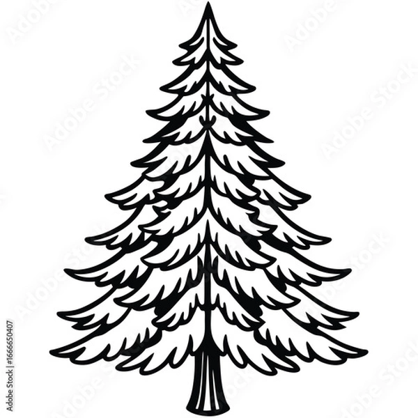 Fototapeta Fir Tree line art vector
