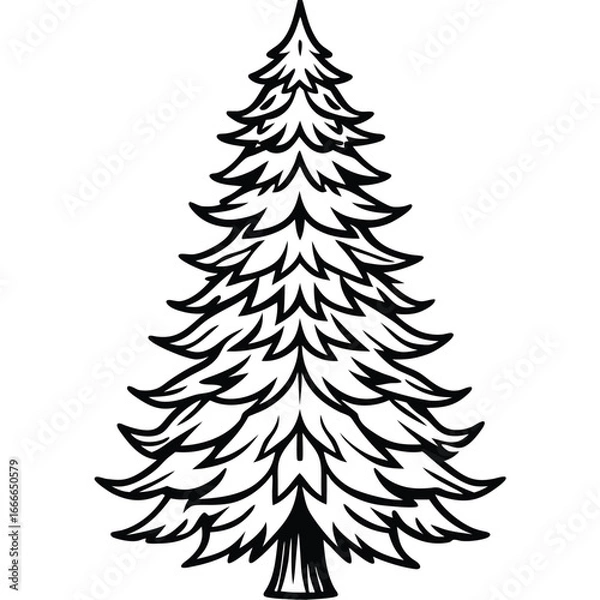 Fototapeta Fir Tree line art vector