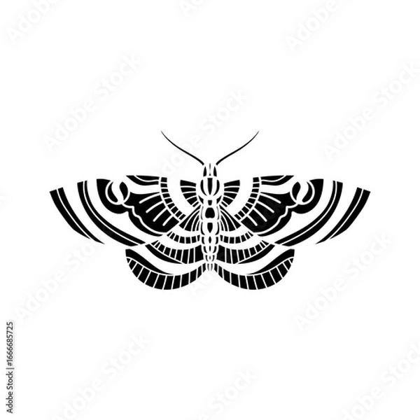 Fototapeta moth in black and white isolated on white background. black and white butterfly