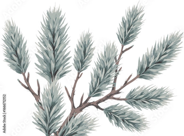 Fototapeta Elegant Winter Pine Branch with Frosty Needles
