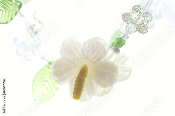 Fototapeta アクセサリー