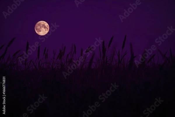 Fototapeta Purple moonlit night with dark glowing light. Abstract natural photo backdrop. Close-up of meadow grass and flowers. Seasonal tones of autumn, winter, spring, and summer. Blurred vintage style image