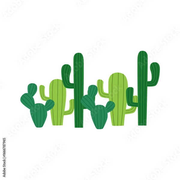 Fototapeta A charming collection of green cactus plants with ribbed textures, showcasing a variety of shapes and sizes against a clean white background.