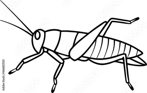 Fototapeta grasshopper line , grasshopper cartoon