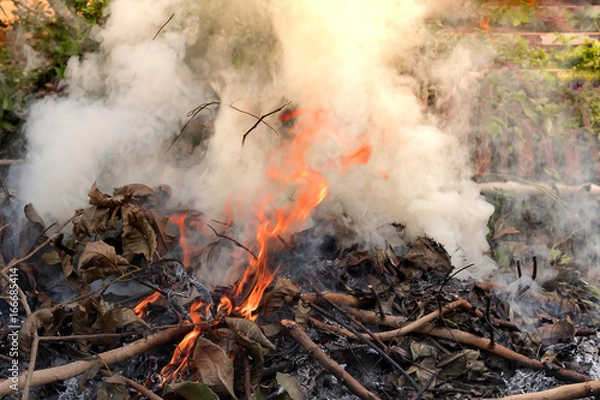 Obraz fire burning refuse, poisonous smoke,cause of wildfire, Causes by Global Warming