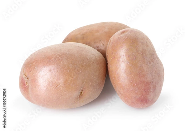 Obraz Three fresh ripe potatoes isolated on white
