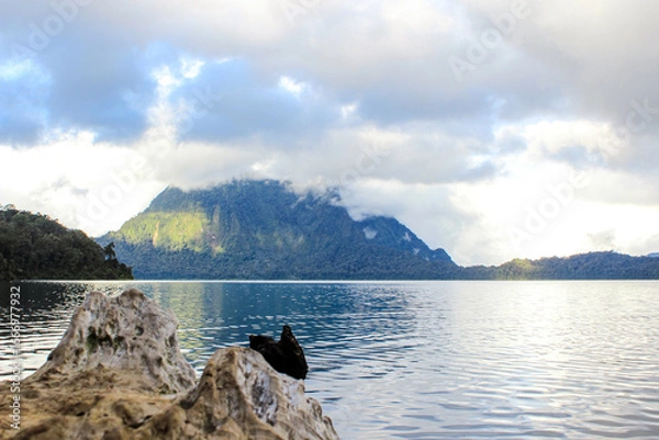 Fototapeta Dramatic Landscape of Mountain Lake with Driftwood in Foreground and Misty Forest Hills