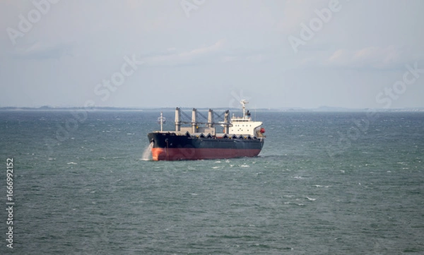 Obraz The bulk ship on spot-check