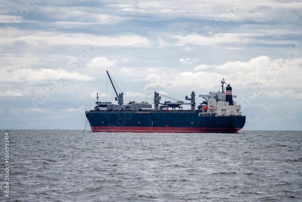 Obraz The bulk ship on spot-check
