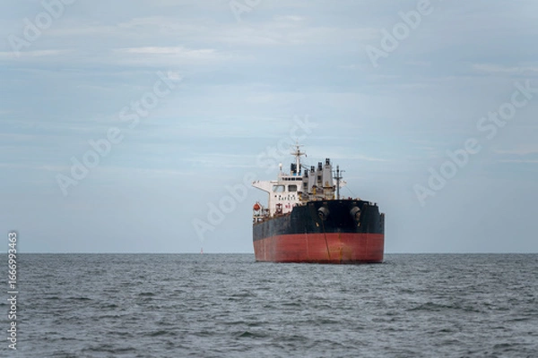 Obraz The bulk ship on spot-check