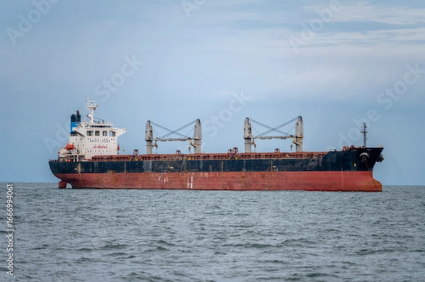 Obraz The bulk ship on spot-check
