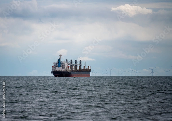 Obraz The bulk ship on spot-check