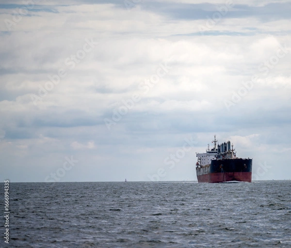Obraz The bulk ship on spot-check