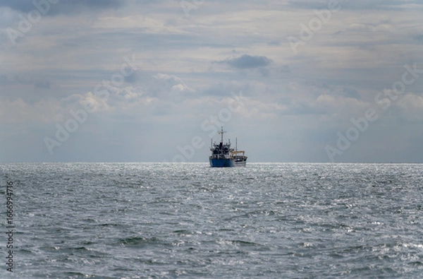 Obraz The bulk ship on spot-check