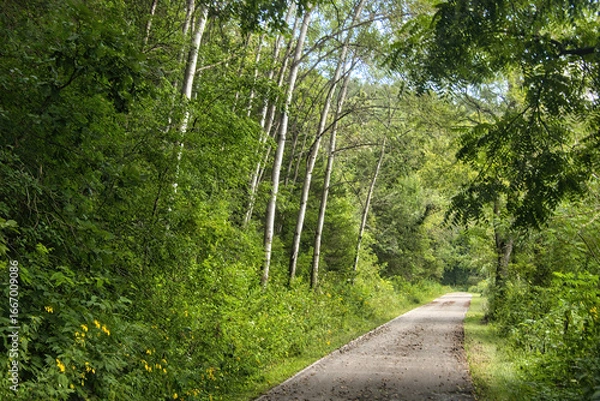 Obraz Sunny Summer day view of the Root River State Trail passing beside tall trees in a wooded valley near Lanesboro, Minnesota.
