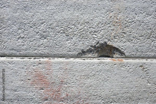 Fototapeta cement wall texture, grunge background