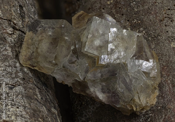 Fototapeta fluorite specimen featuring translucent grey tones and natural fractures, resting on cracked wood bark. A striking close-up image for mineral catalogs, editorial design
