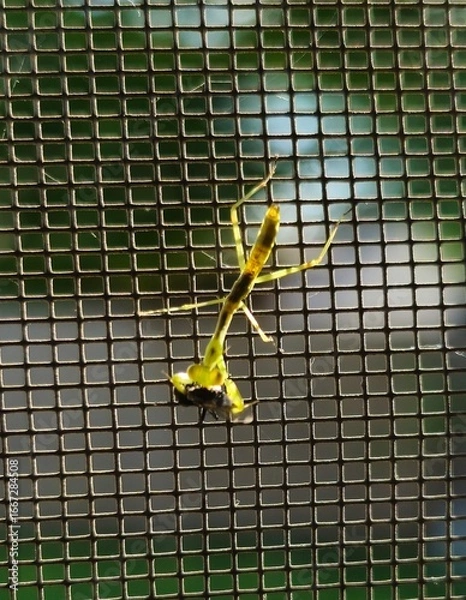 Obraz soccer goal net