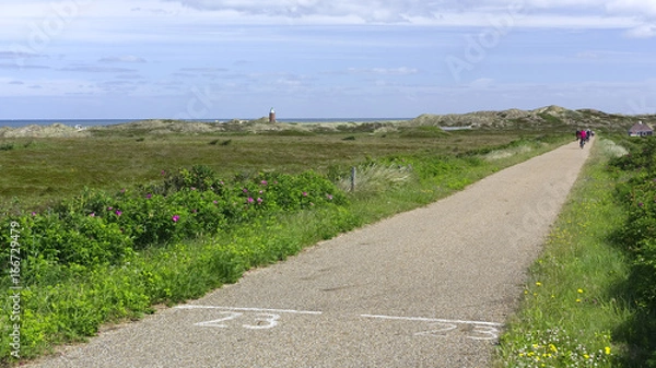 Obraz Radweg durch die Dünenlandschaft bei Kampen auf der Nordseeinsel Sylt