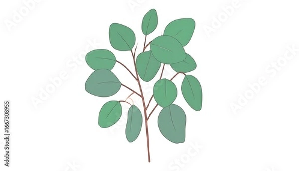 Obraz Eucalyptus branch illustration