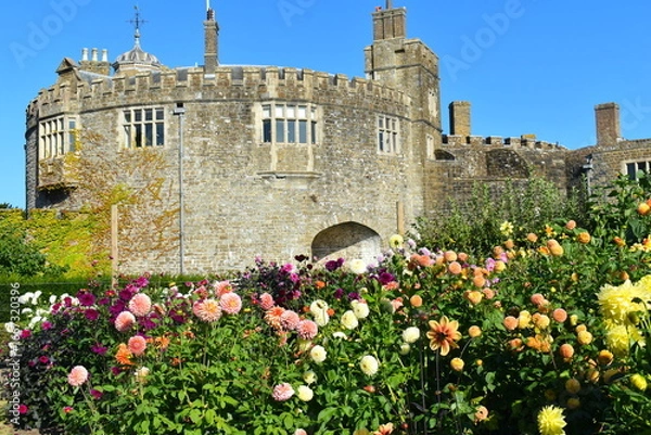 Obraz Dry moated historical castle in summer among sunflowers and dahlias in Walmer near Deal England on the Kentish coast within an easy reach on South Eastern train from London Saint Pancras International