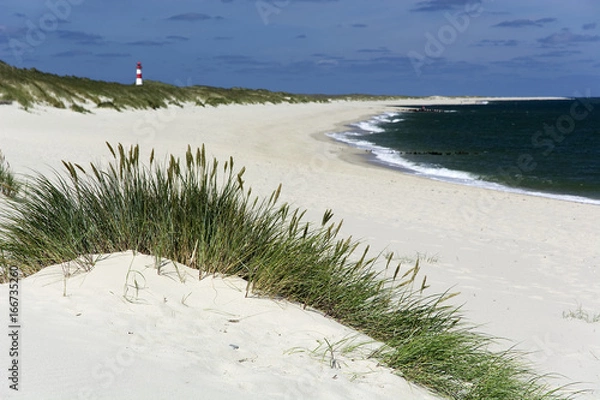Obraz Dünen auf der Nordseeinsel Sylt