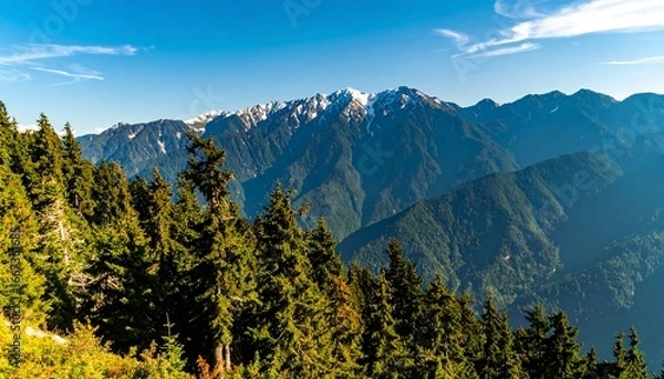 Fototapeta Majestic mountain range with evergreen forest