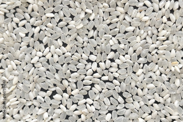 Fototapeta 真上から見た異常気象で発生した未熟米の品質イメージ