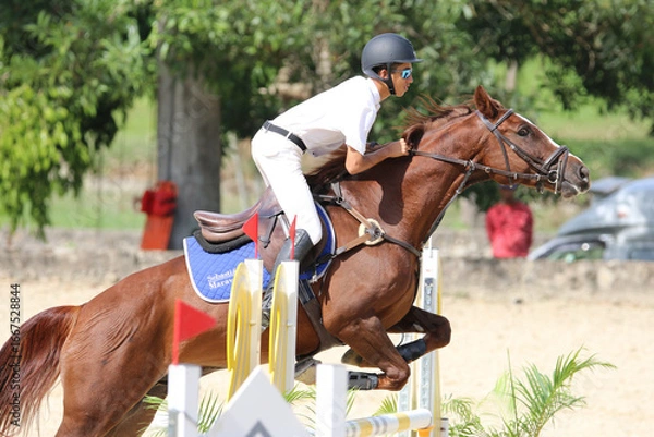 Obraz Competitive Equestrian Sports