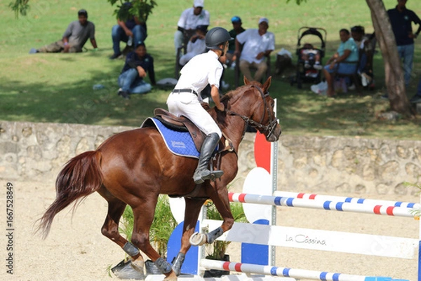 Obraz Competitive Equestrian Sports