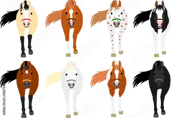 Obraz walking horse cartoon bundle