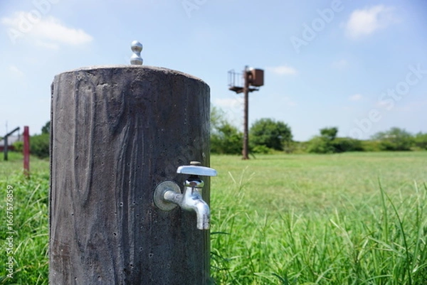 Obraz 公園の水飲み場
