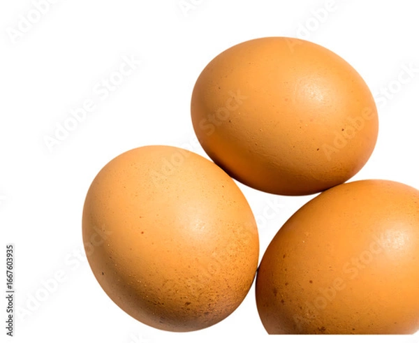 Obraz Three brown eggs isolated on transparent background