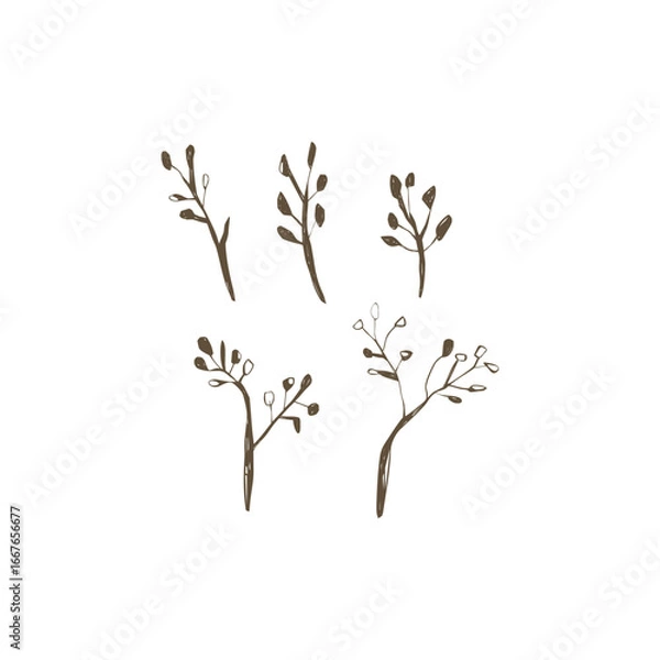 Fototapeta Hand drawn botanical twigs with berries perfect for patterns fabric design stationery packaging and eco branding