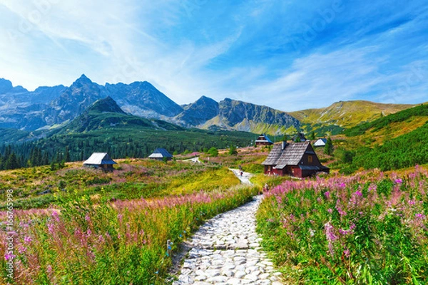 Fototapeta Gasienicowa Valley in Tatry mountains, Poland