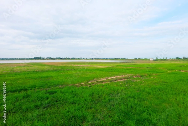 Obraz green grass and blue sky