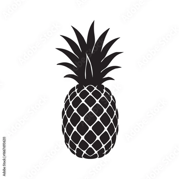 Fototapeta pineapple vector illustration