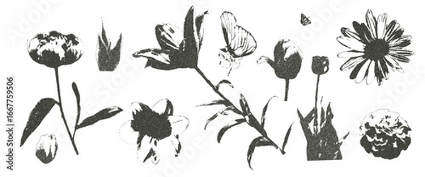 Fototapeta Butterfly and flowers photocopy retro set. Daisy, peony and lily plant. Y2k grain elements. Stippling collage shapes on transparent background. Vector black noisy illustration.