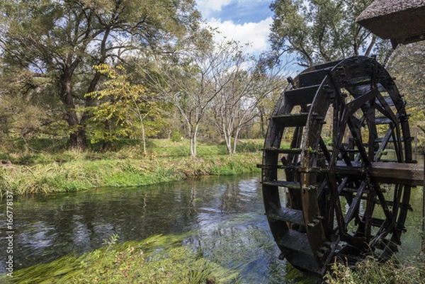 Obraz 大王わさび農場犀川の水車