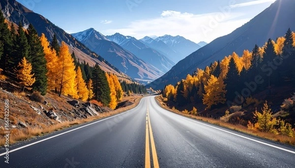 Fototapeta empty road in the mountains sunny autumn summer day