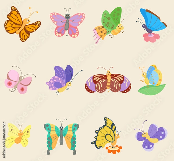 Obraz Colorful butterfly insects vector flowing colorful wings
