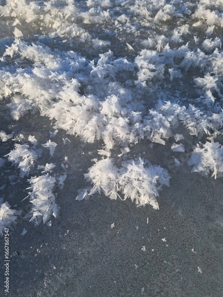 Obraz Beautiful winter