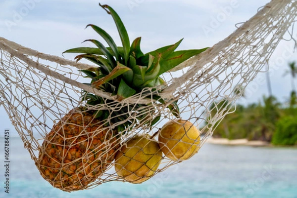 Fototapeta Tropical fruit hanging in a net with a tropical background