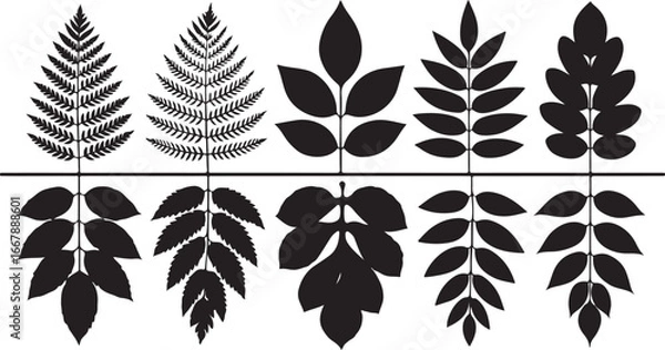 Obraz A collection of five different black silhouettes of leaf and fern frond designs with their reflections